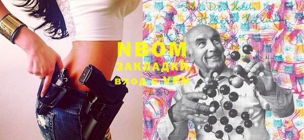 сатива Михайловка