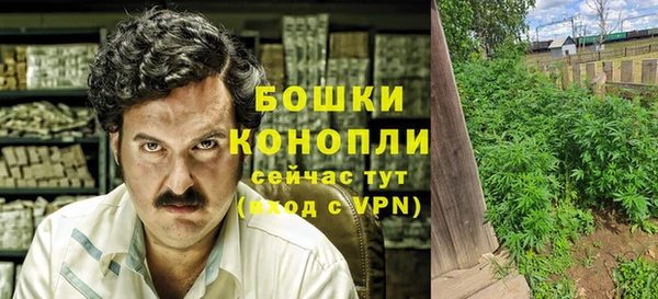 сатива Михайловка