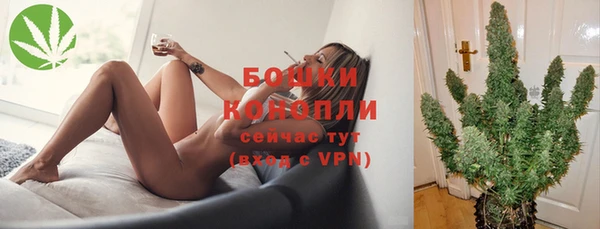 сатива Михайловка