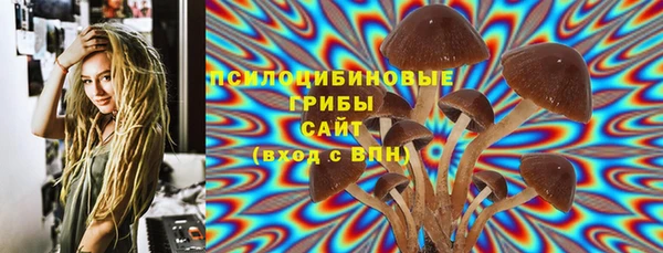 сатива Михайловка