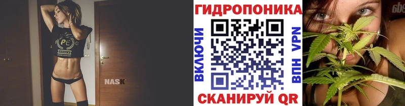 omg ONION  Хвалынск  Бошки марихуана Ganja 